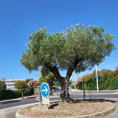 Duplex Camargue Village Le Grau-du-Roi