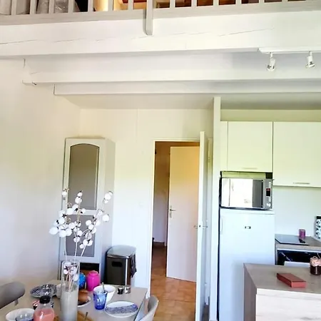 Duplex Camargue Village 公寓 *