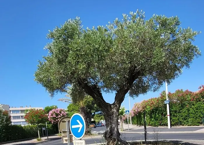 Duplex Camargue Village Le Grau-du-Roi